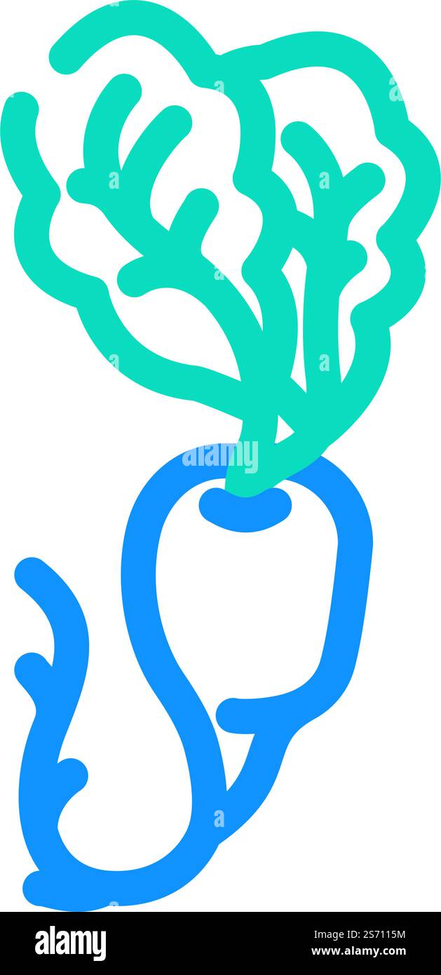 white radish color icon vector. white radish sign. isolated symbol ...