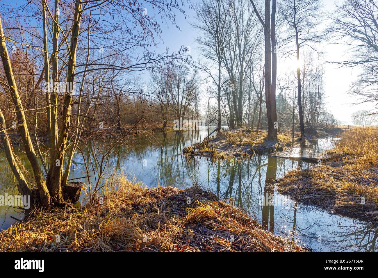 Spree bei Cottbus DEU/Deutschland/Brandenburg/Neuhausen, 18.01.2025