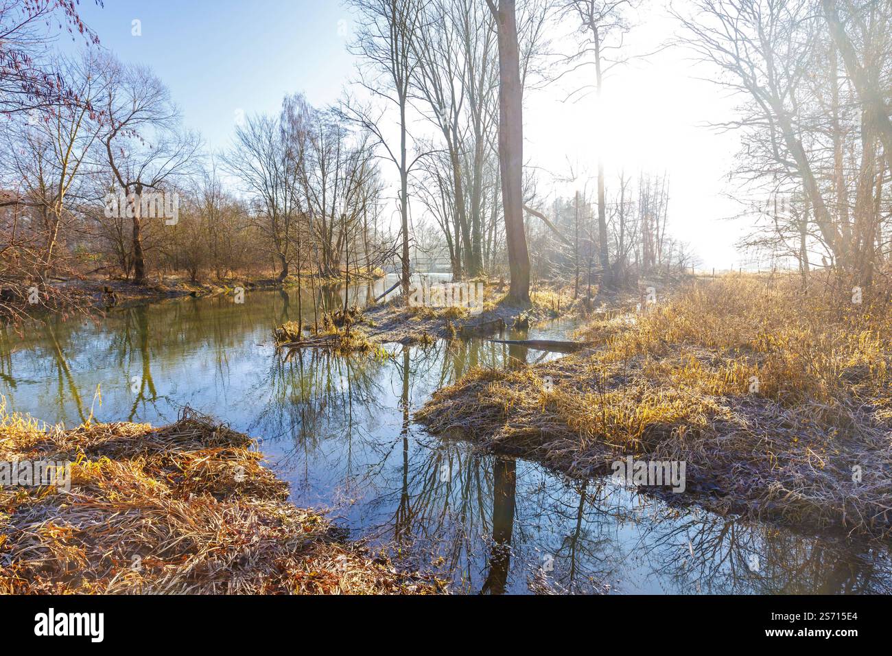 Spree bei Cottbus DEU/Deutschland/Brandenburg/Neuhausen, 18.01.2025
