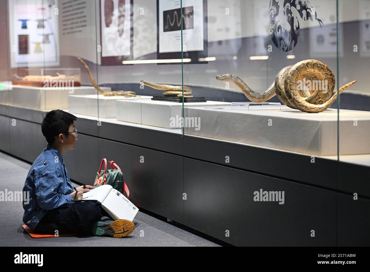 Beijing, China. 18th Jan, 2025. A child draws a sketch of a python ...