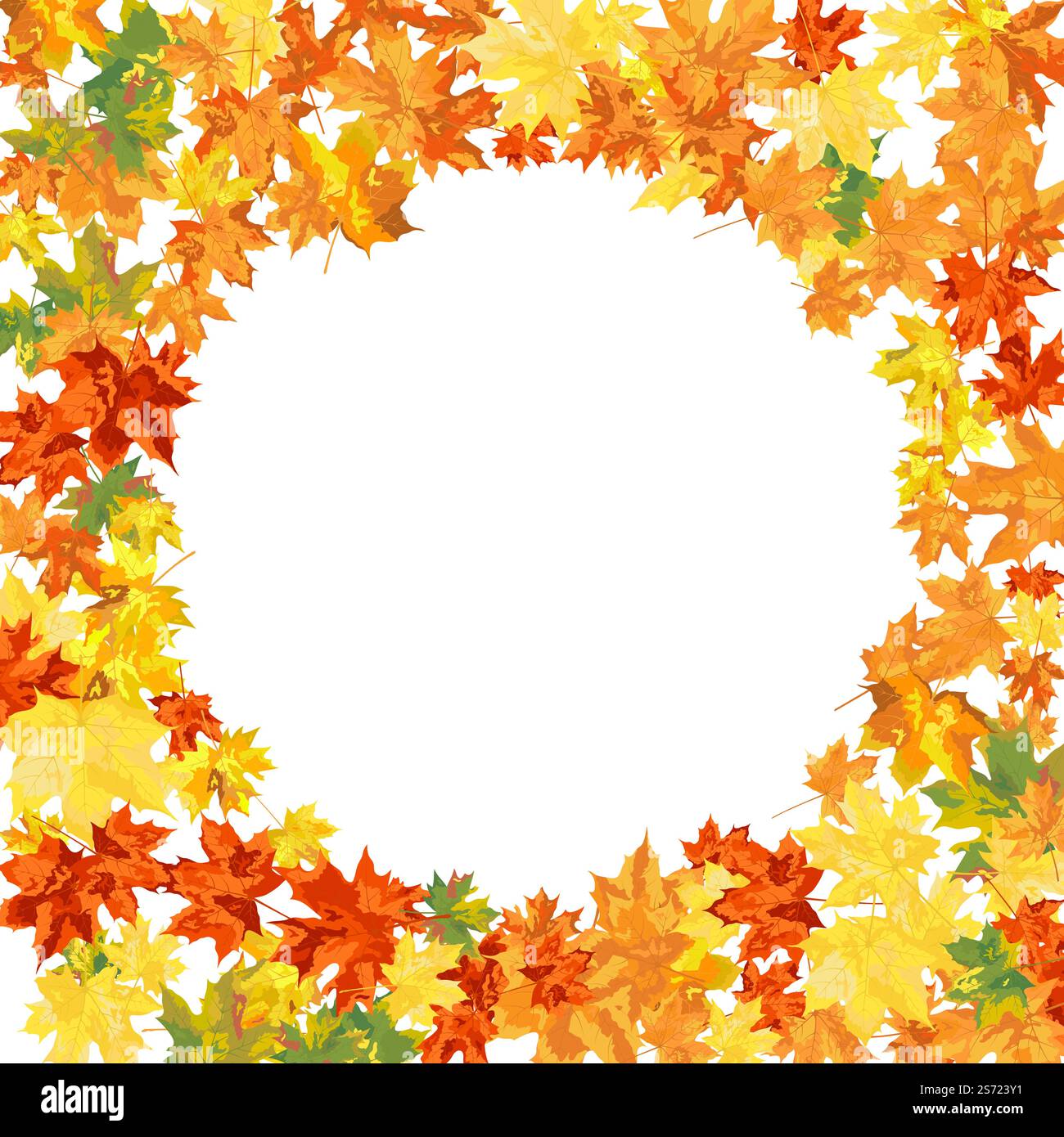 Autumn Frame With Blowing Maple Leaves Over White Background. Elegant ...