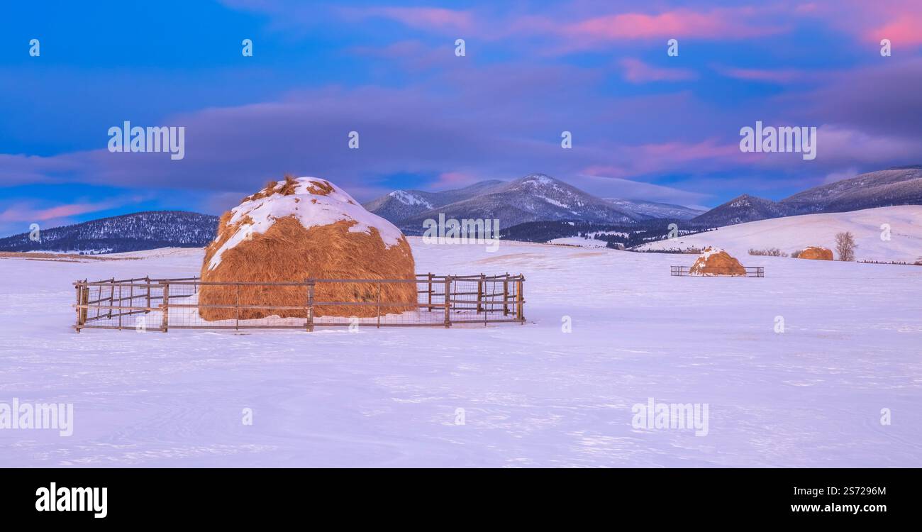 panorama of haystacks in winter below black mountain along the continental divide near avon, montana Stock Photo
