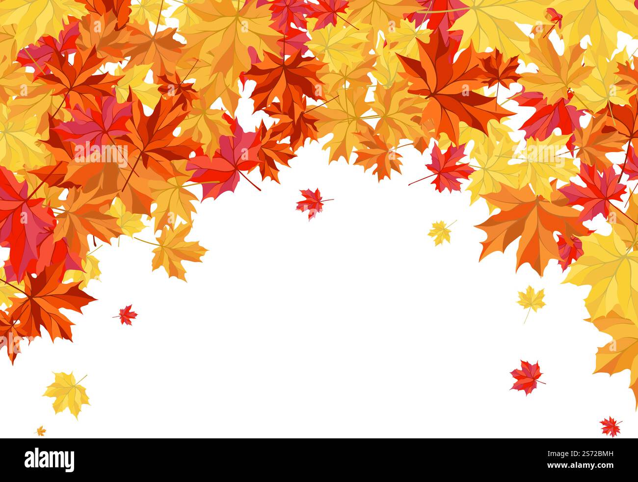 Autumn Frame With Blowing Maple Leaves Over White Background. Elegant ...