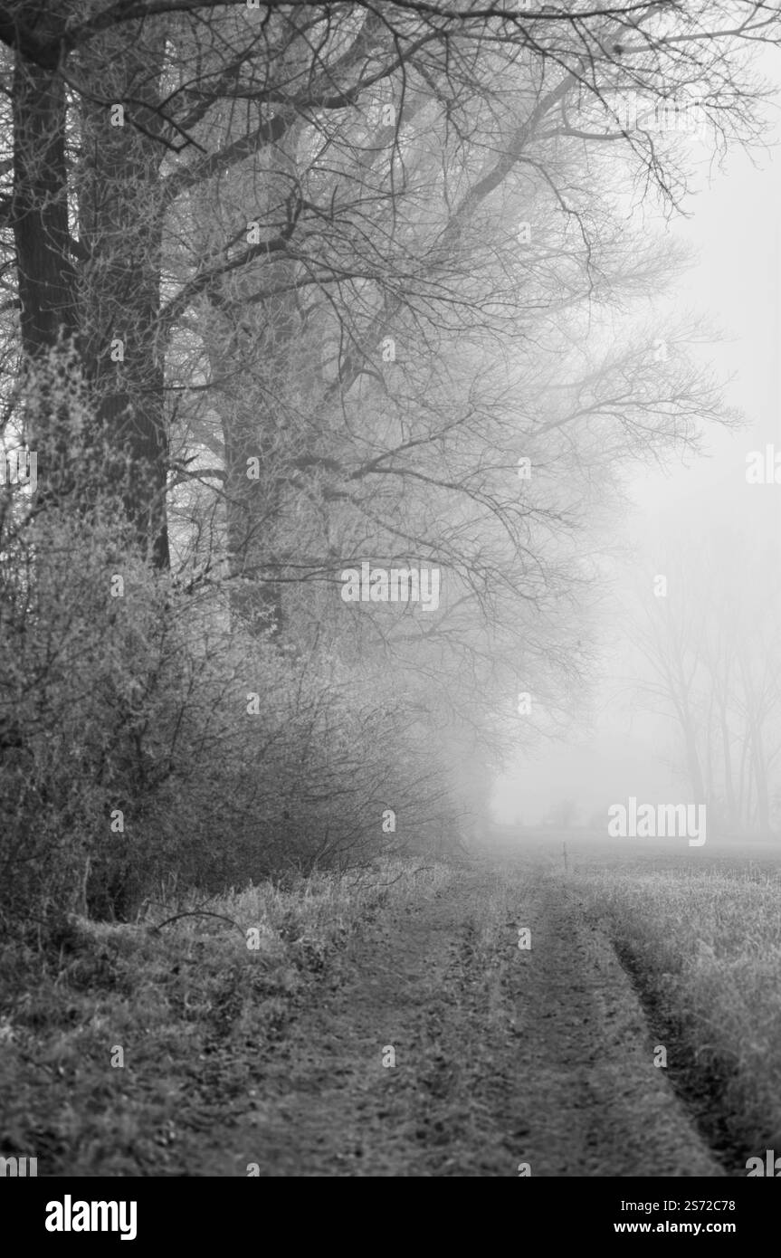 18 01 2025 Black and White Stock Photos &amp; Images - Alamy