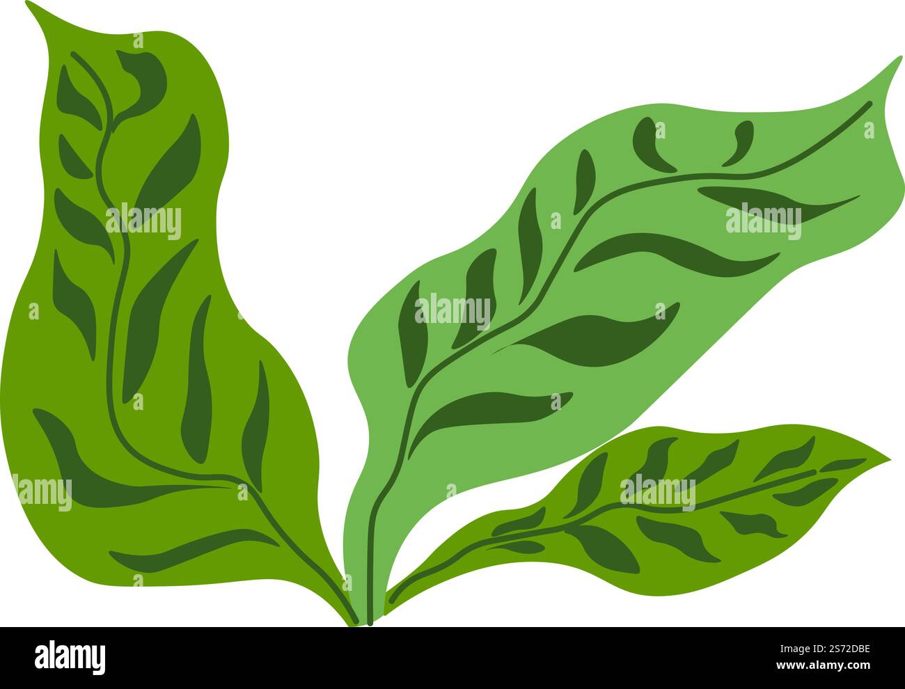 Bushes with leaves, isolated decorative foliage, fresh botany or plant. Houseplant growth, tropical botanic greenery and leafage. Jungles or forest typical flora. Vector in flat style illustration. Decorative flora and botany, bushes with leaves Stock Vector