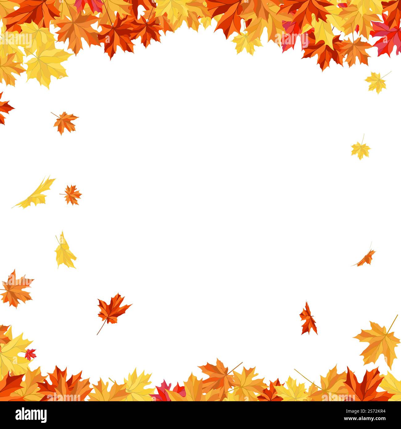 Autumn Frame With Blowing Maple Leaves Over White Background. Elegant ...
