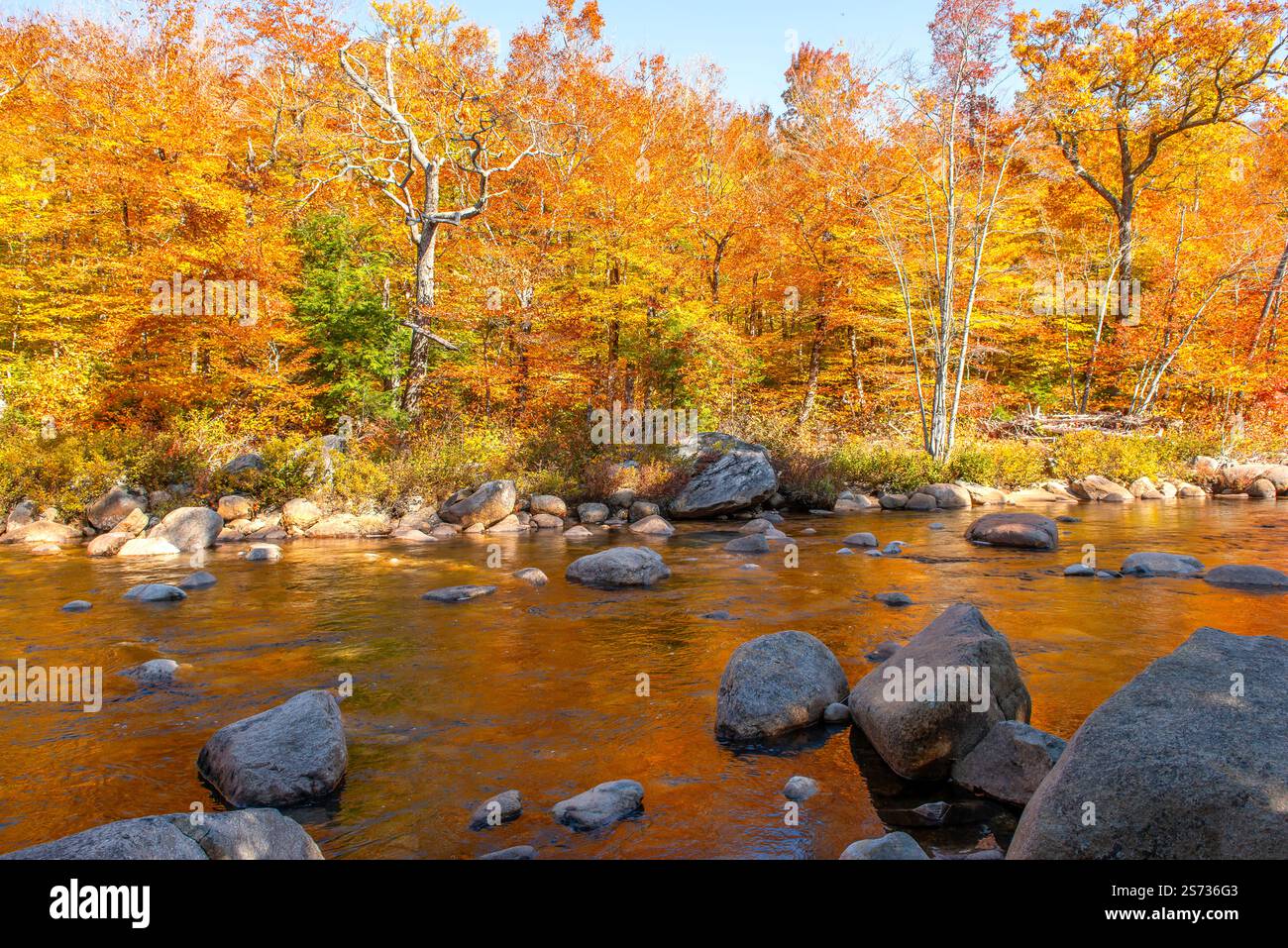New England Fall Foliage Landscape Stock Photo - Alamy