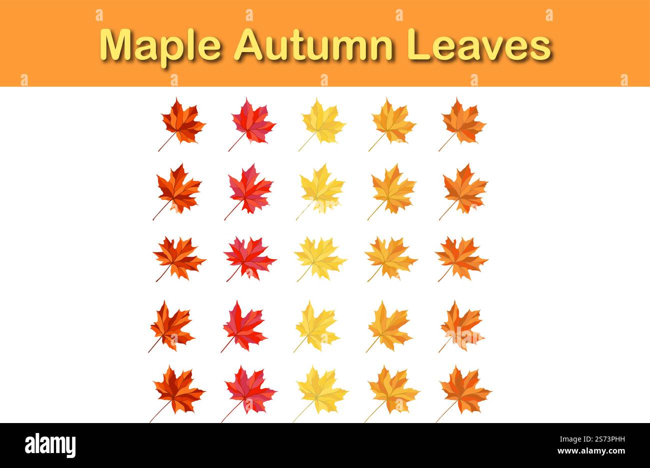 Autumn maple leaf set. Autumn Leaves fall. Vector illustration Stock ...