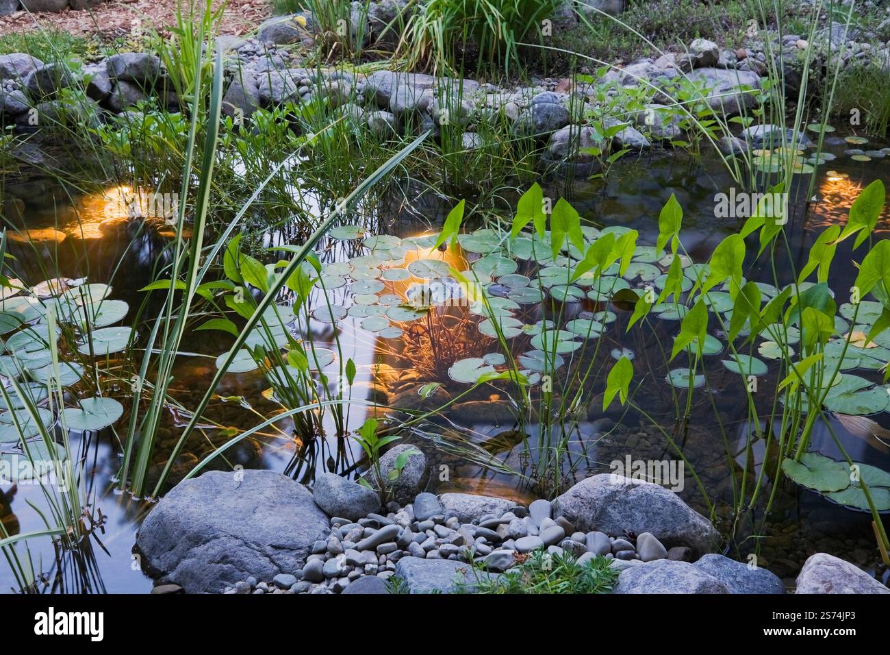 Pond lighting garden hi-res stock photography and images - Alamy Pond lighting garden hi-res stock photography and images - Alamy