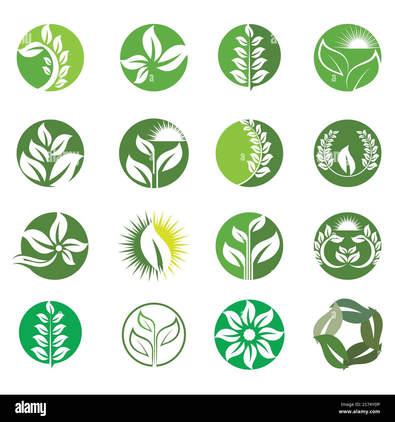 Green leaf illustration nature logo design Stock Vector Image & Art - Alamy