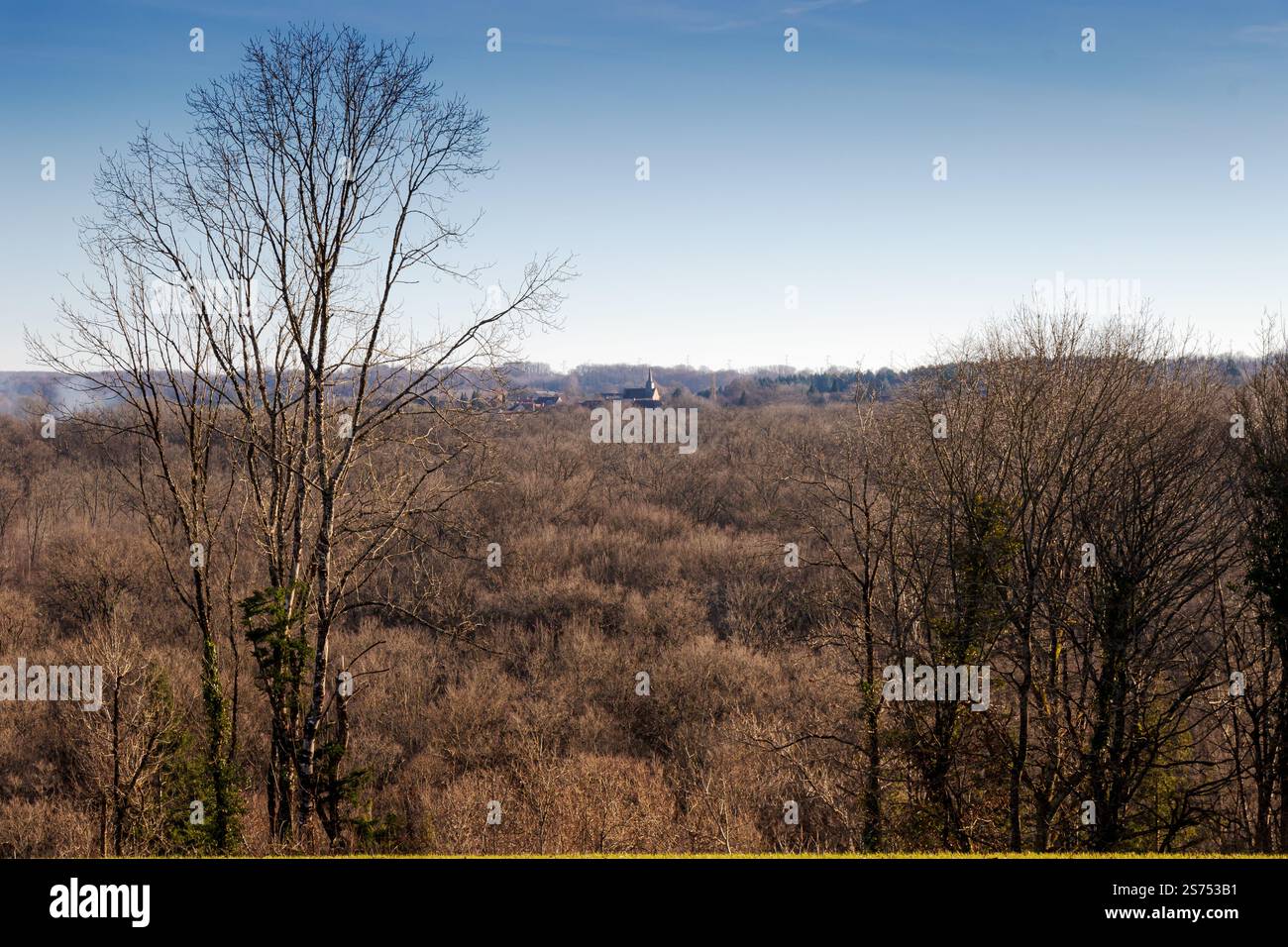 A view across Creuse countryside on sunny, winter's day with a church in the distance. Stock Photo