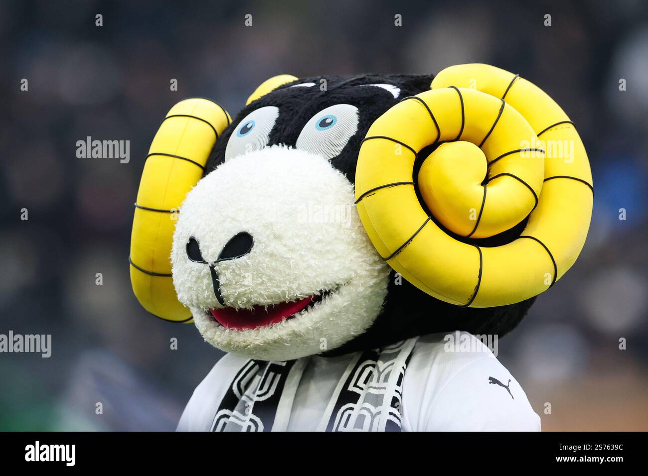 Derby County mascot Rammie before the Sky Bet Championship match at