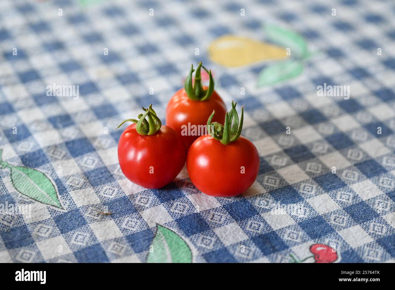 Three ripe cherry tomatoes on a blue and white checkered tablecloth - Solanum lycopersicum var. cerasiforme Stock Photo