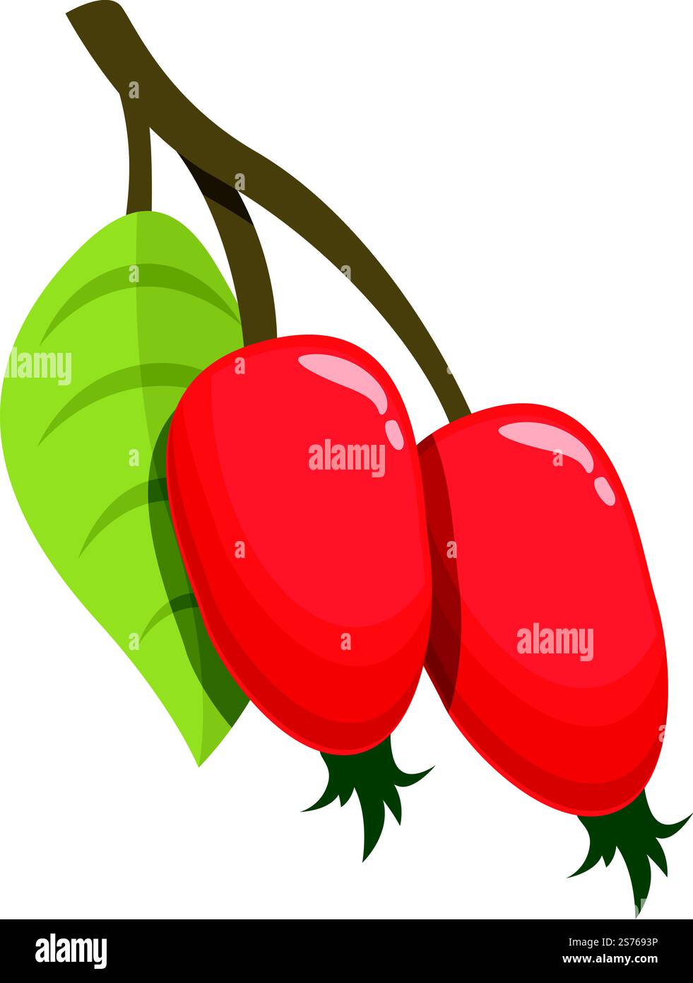 Ripe rosehip icon cartoon hi-res stock photography and images - Alamy