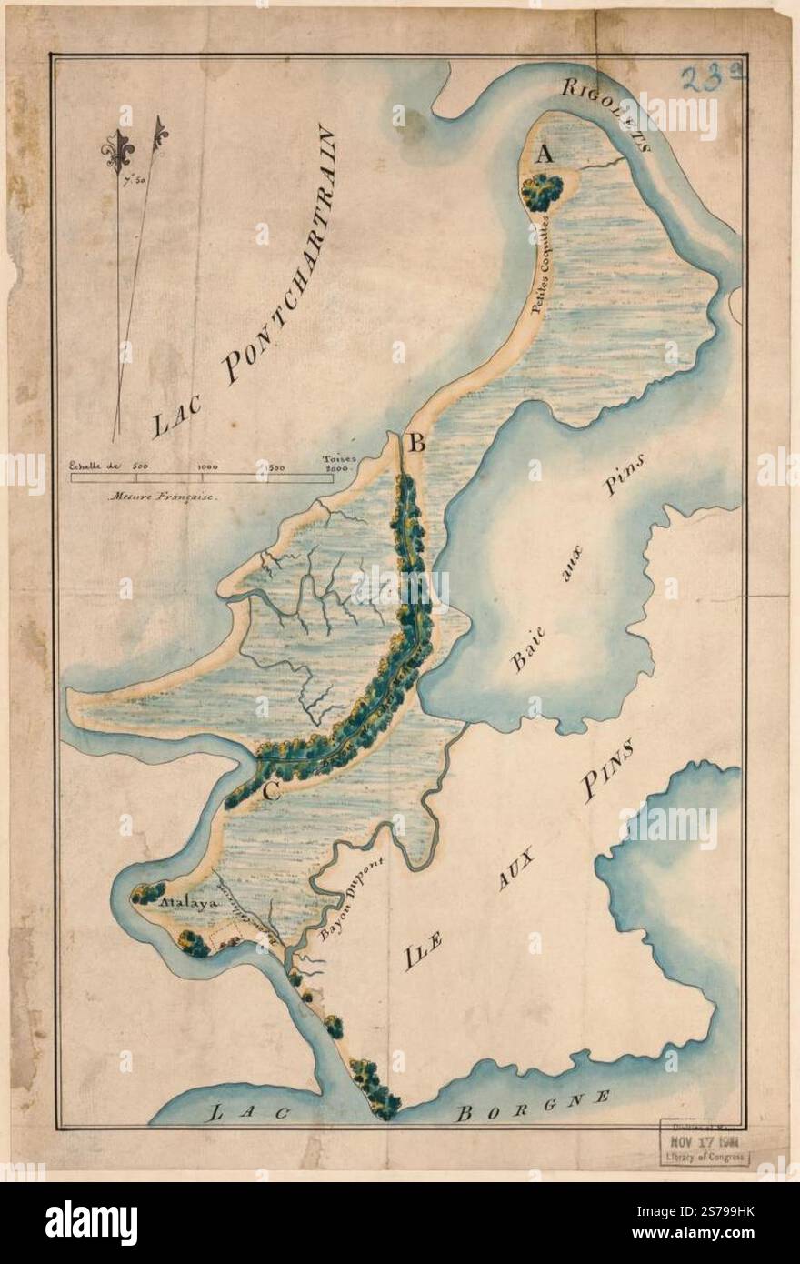 Jim Carrey Fond d'écran de téléphone HD | Pxfuel, image size:880x1390