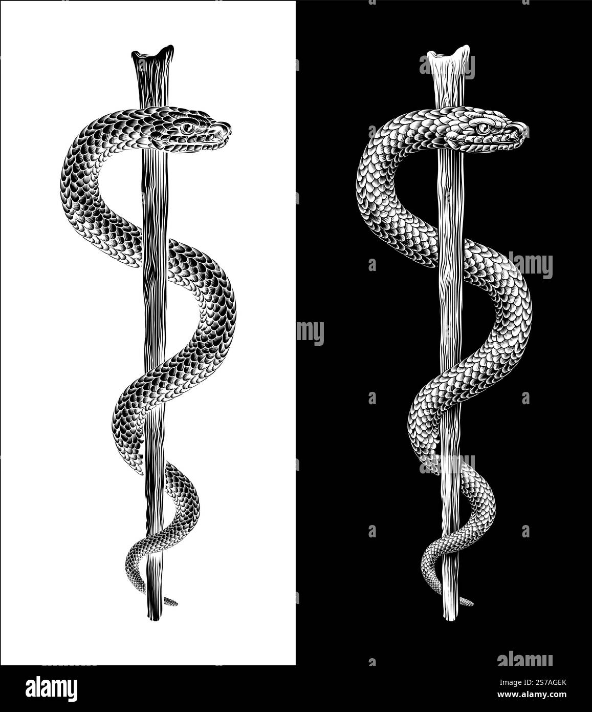 Rod of Asclepius Caduceus Medical Doctor Symbol Stock Vector Image ...