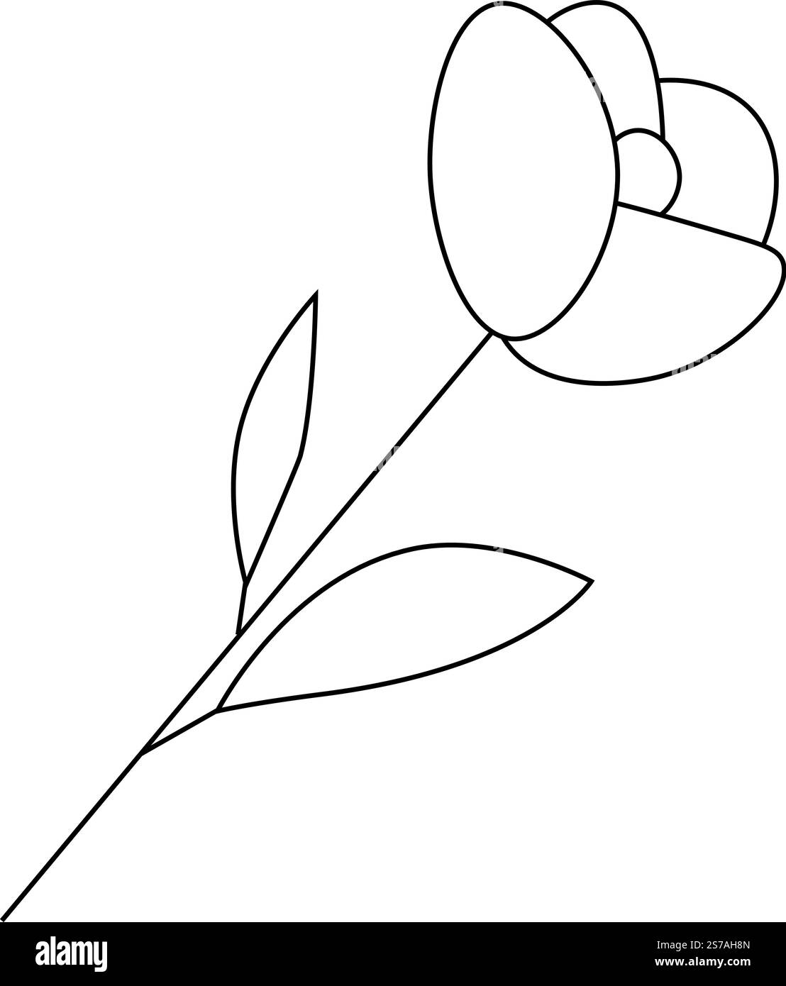 Vector isolated simple minimal rosebuds drawing. Colorless black line rosebud outline sketch Illustration isolated on transparent background Stock Vector