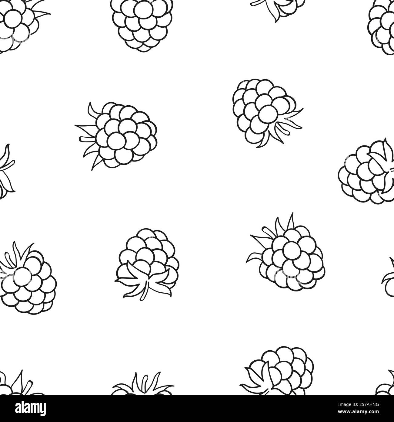 Raspberry seamless pattern. Doodle berries isolated on white background Stock Vector