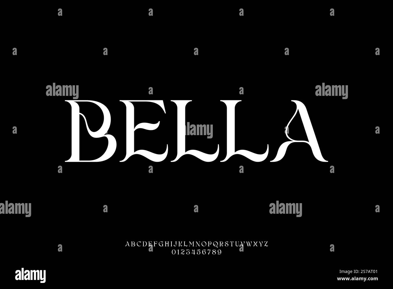 Unique elegant decorative serif alphabet display font vector illustration Stock Vector