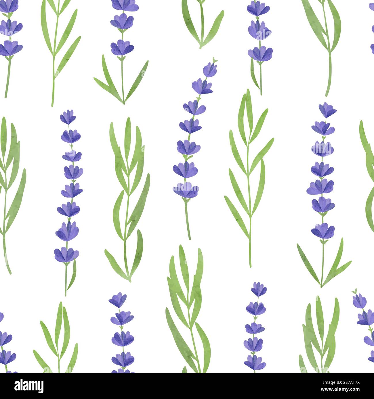 Lavender branches seamless pattern. Vector watercolor floral background Stock Vector