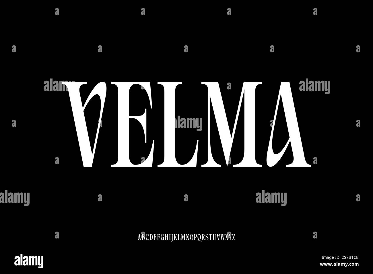 Elegant decorative condensed serif alphabet display font vector illustration Stock Vector
