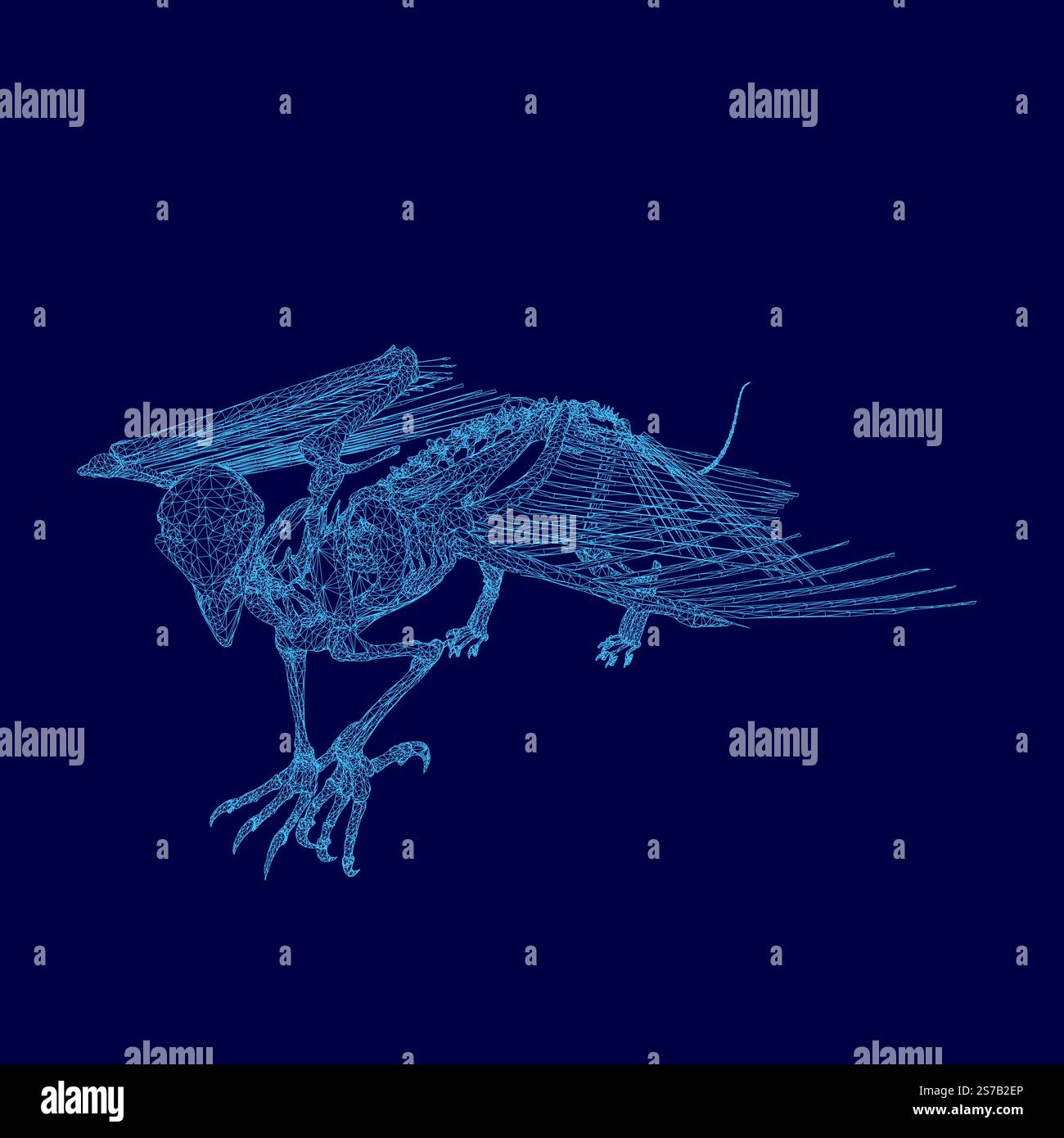 Blue bird skeleton is shown in a blue background. The skeleton is in a ...