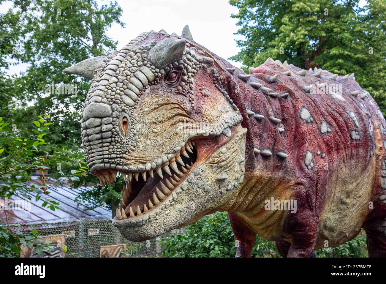 ミュージック B'z LIVE EPIC NIGHT. DINO SAUR.HINOTORI B'z】TONIGHT(Is The Night) (LIVE-GYM'93 