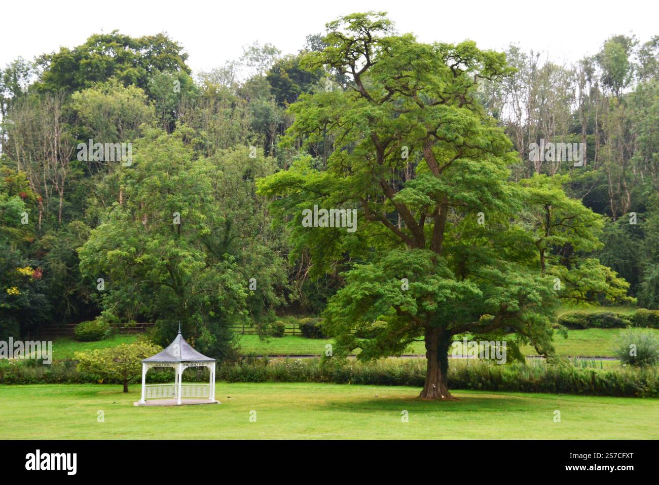 A white pavilion and a big tree in the park of The Manor House, Castle ...