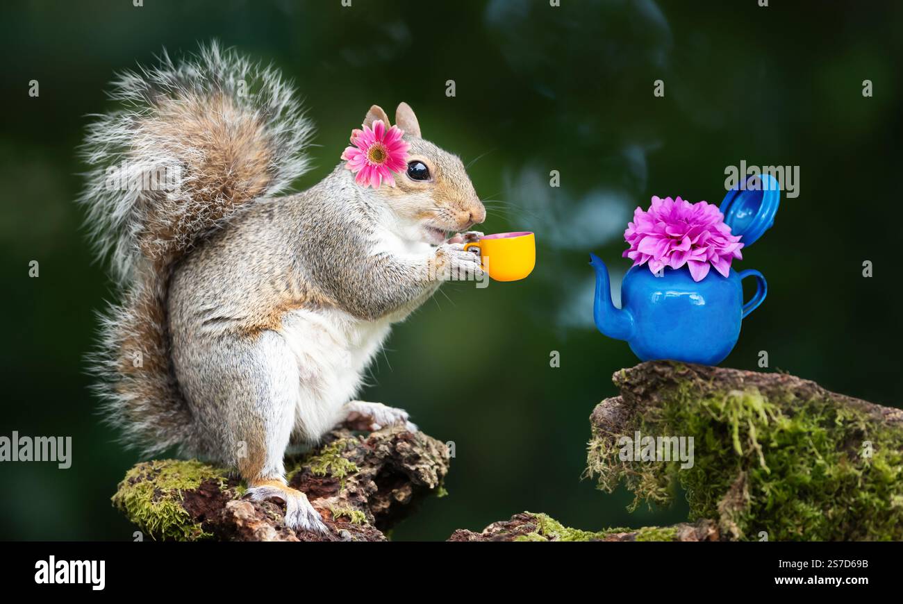 Magical tea hi-res stock photography and images - Alamy