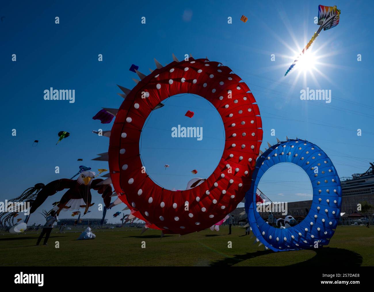 QATAR KITE FESTIVAL 2025 Participants are flying their kites in doha