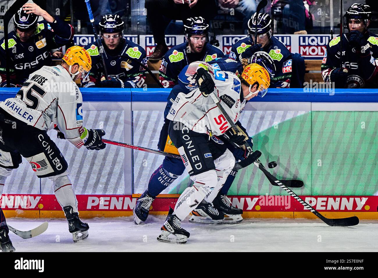 Christian Wejse (Fischtown Pinguins, #65), Korbinian Geibel (Eisbaeren ...