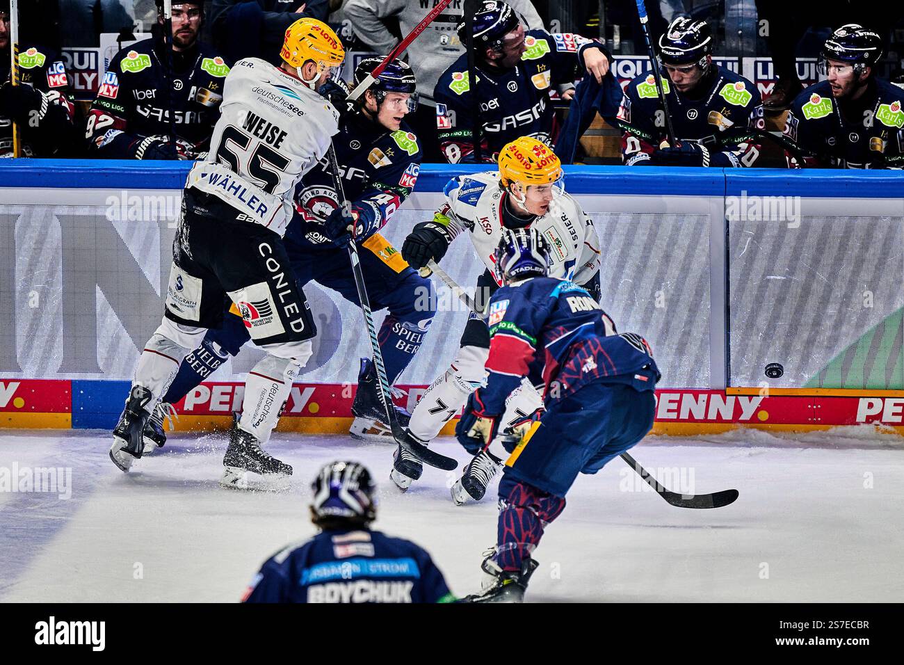 Christian Wejse (Fischtown Pinguins, #65), Korbinian Geibel (Eisbaeren ...