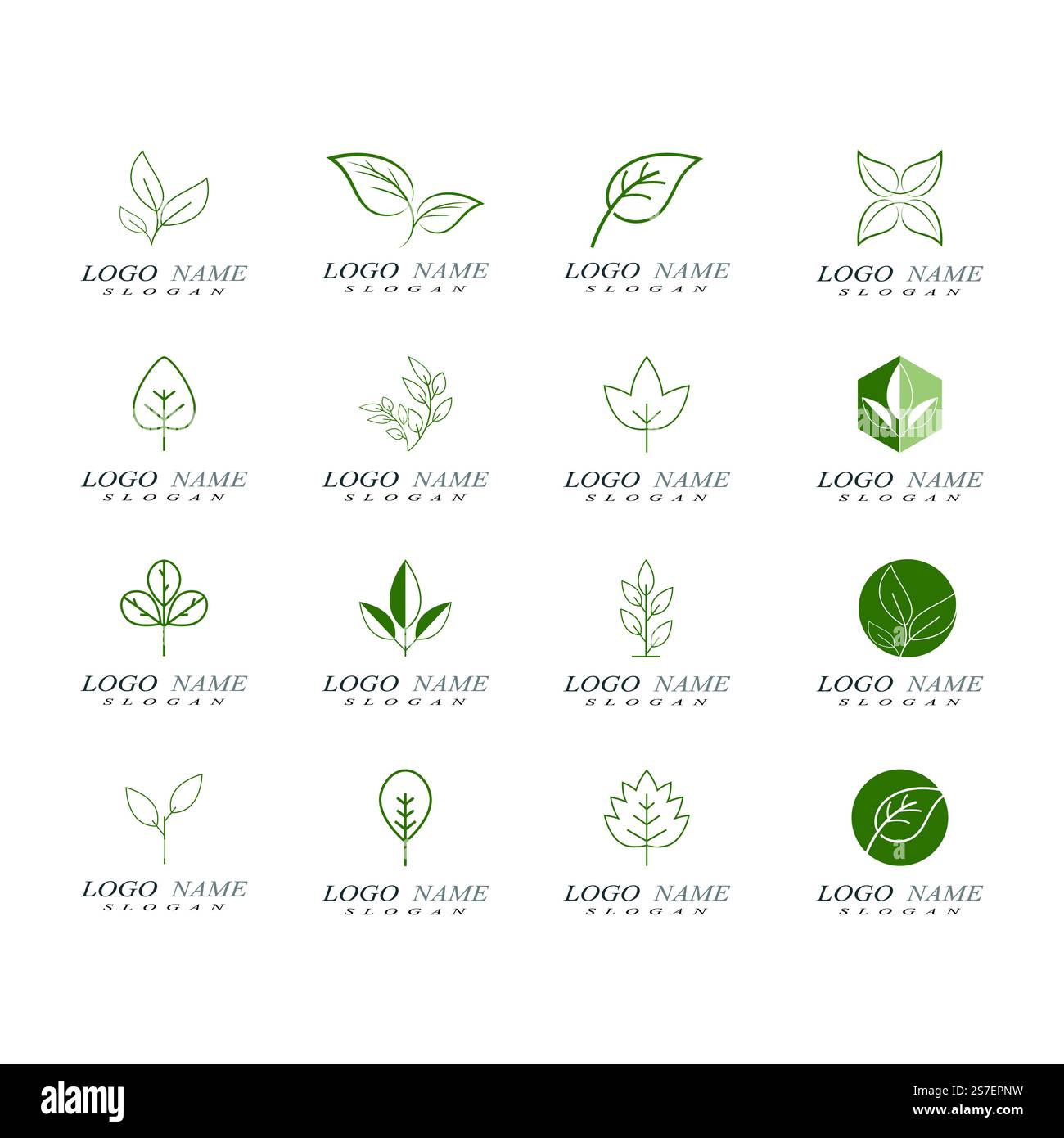 Green leaf illustration nature logo design Stock Vector Image & Art - Alamy
