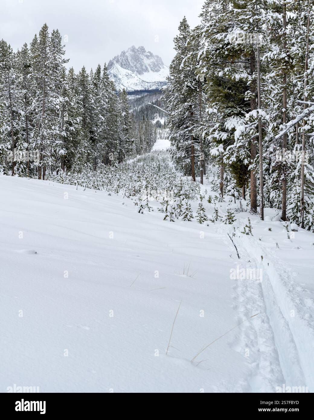 Beautiful Idaho mountain in winter with ski trails Stock Photo
