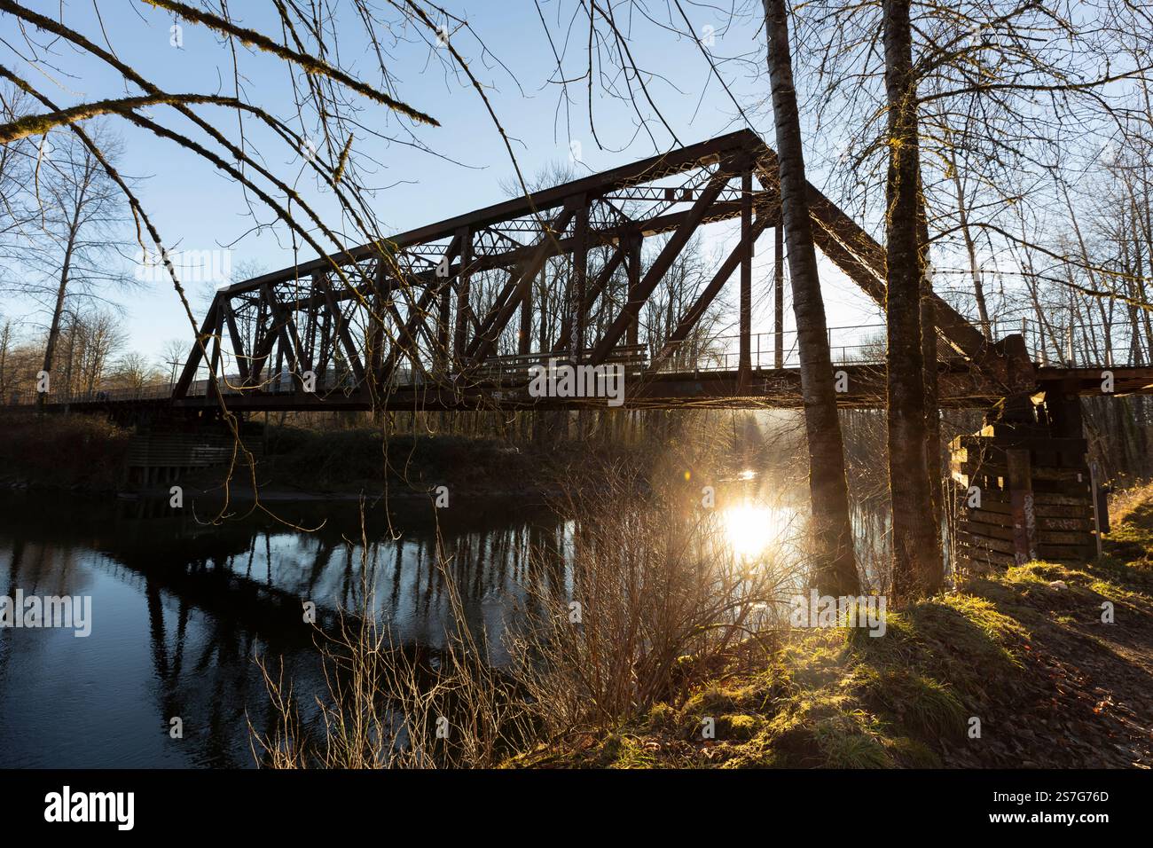 Twin peaks david lynch trees hi-res stock photography and images - Alamy