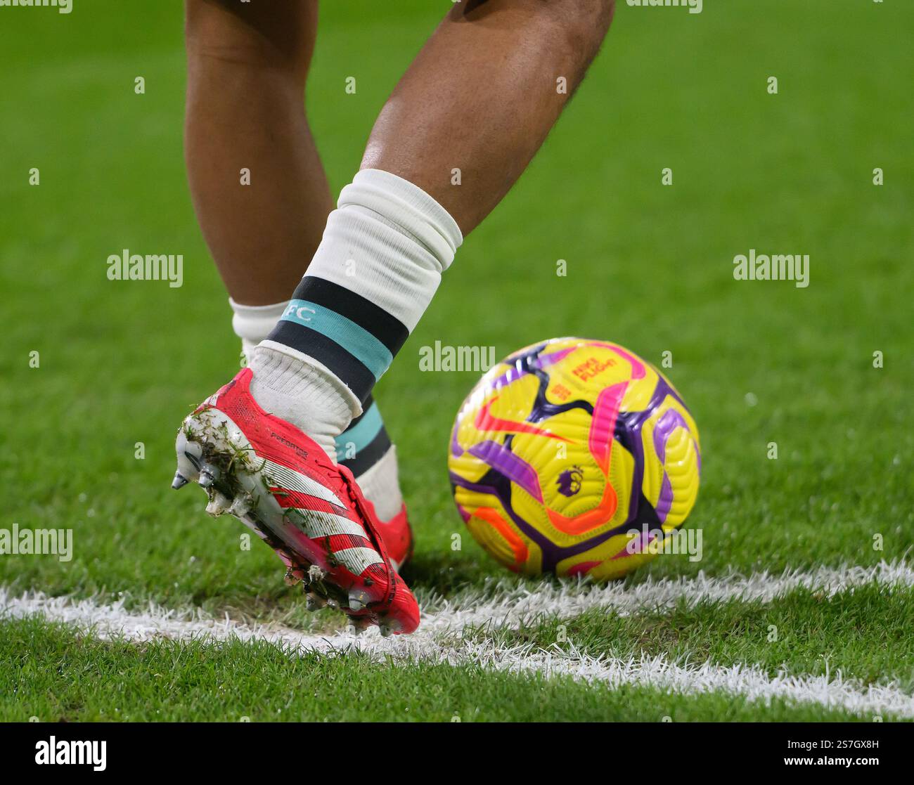 adidas predator stadium
