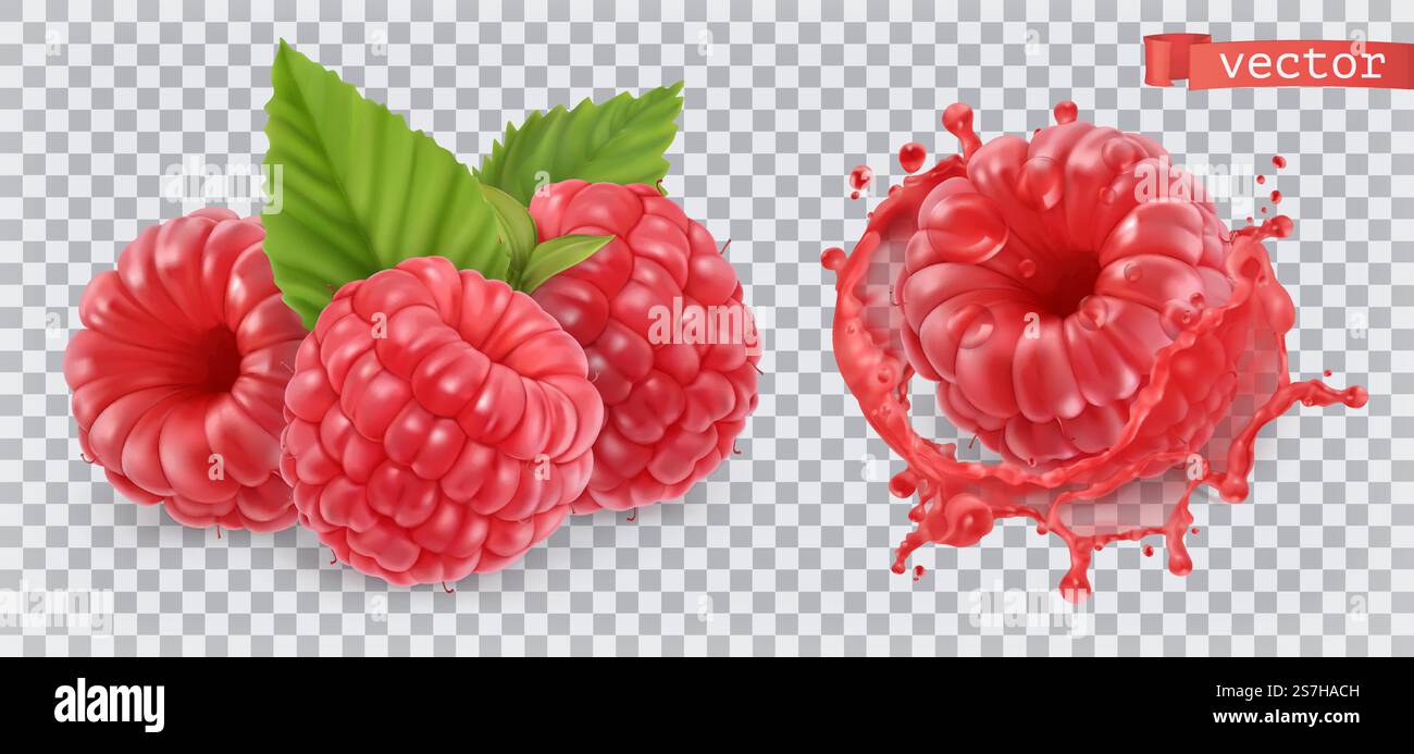 Raspberry. Sweet fruit. 3d realistic vector icon Stock Vector
