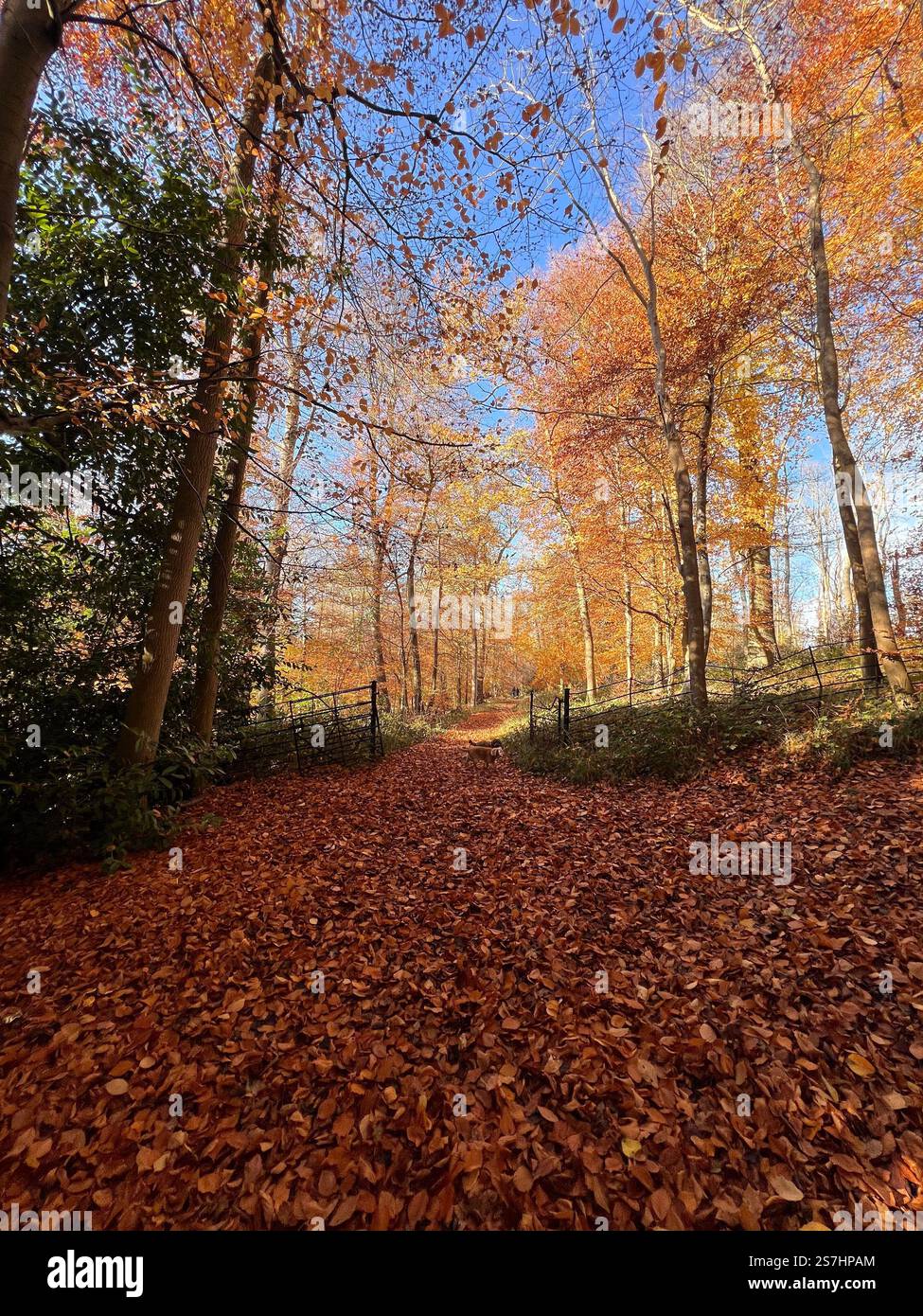 Healing walk hi-res stock photography and images - Alamy