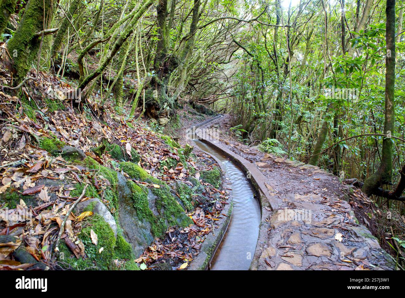 levada da ribeira da janela
