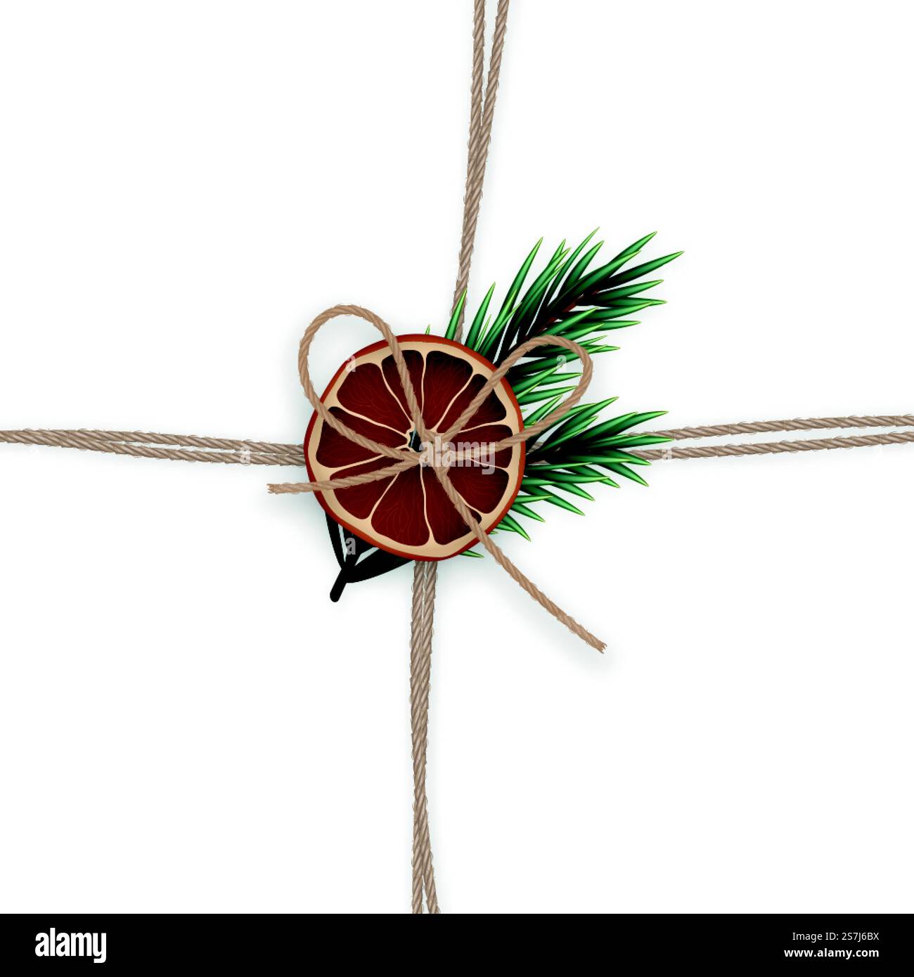 Realistic linen ropes with fir branches and dry orange slice. Concepts ...