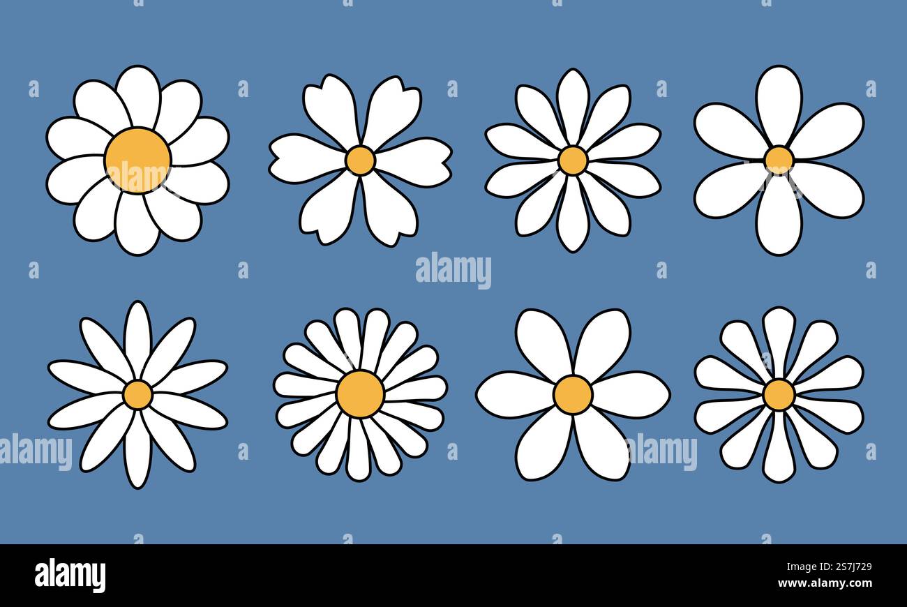 White daisy chamomile collection Stock Vector