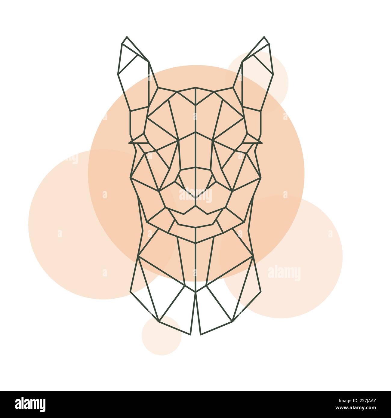 Geometric head of Alpaca. Wild animal. Vector illustration. Stock Vector