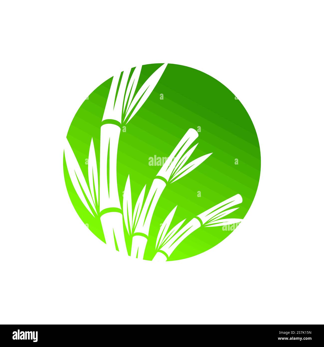 Bamboo with green leaf logo ilustration vector template Stock Vector