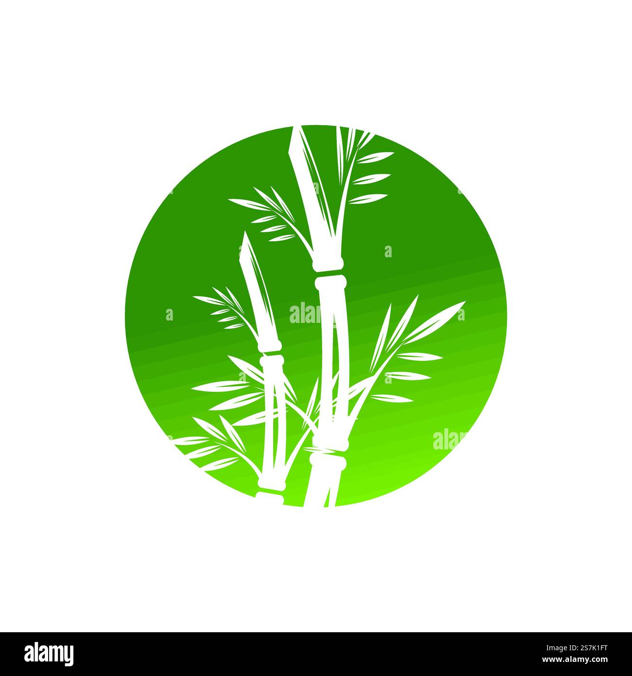 Bamboo with green leaf logo ilustration vector template Stock Vector