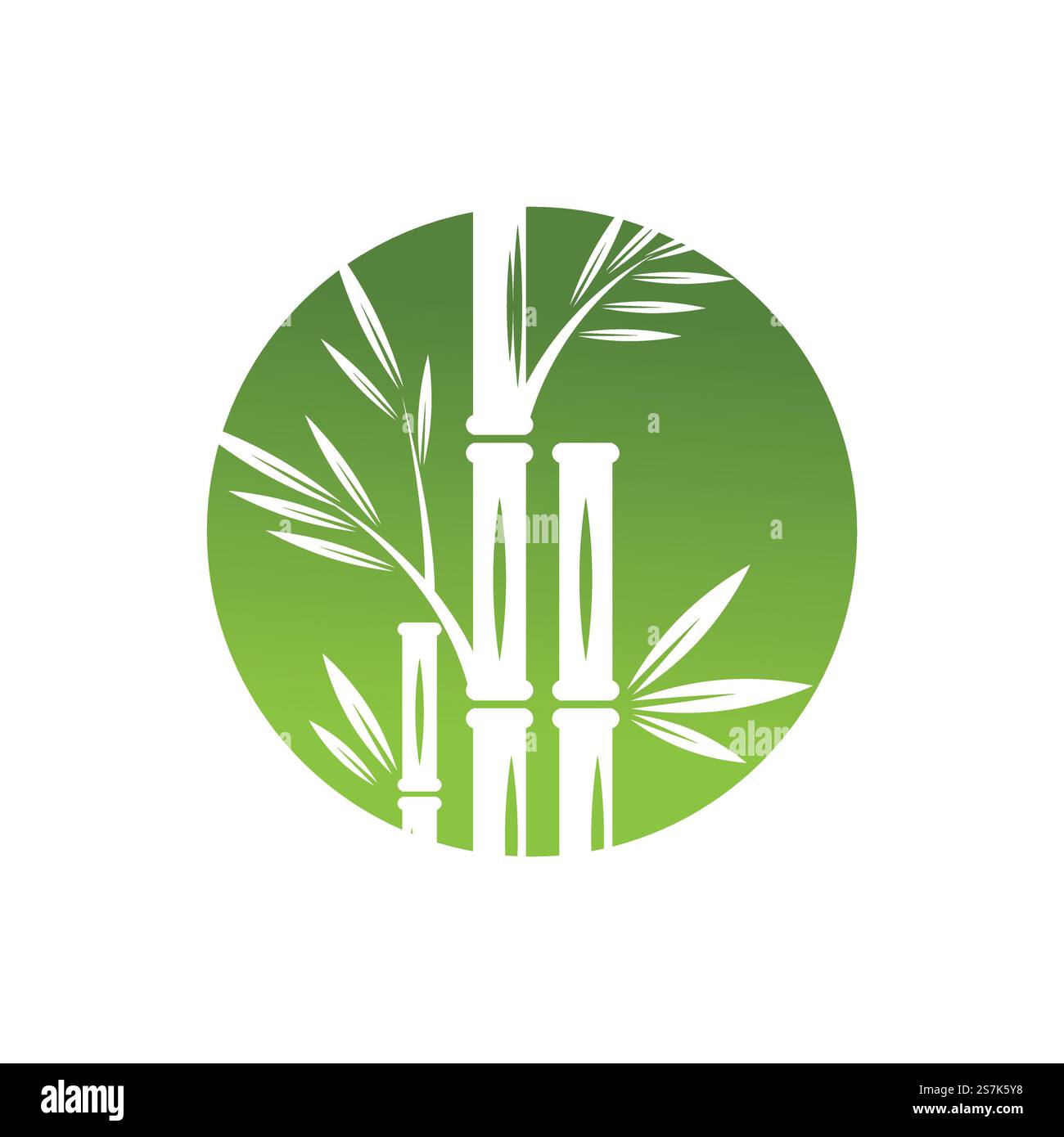Bamboo with green leaf logo ilustration vector template Stock Vector