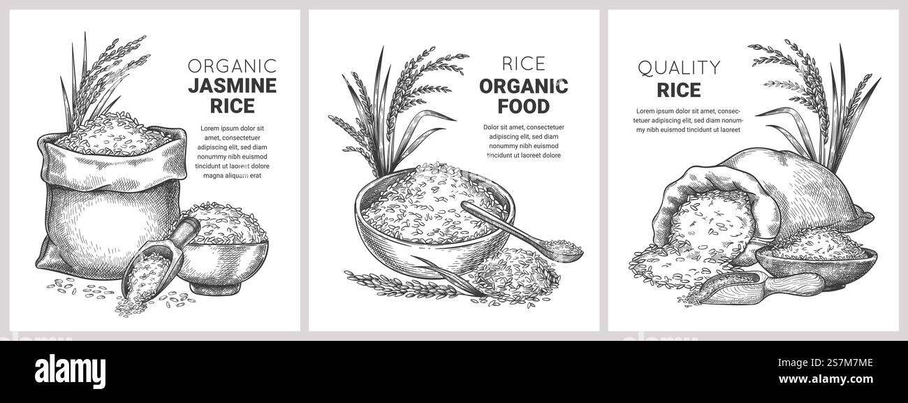 Hand drawn rice label. Retro sketch organic cereal grains in bag and ...