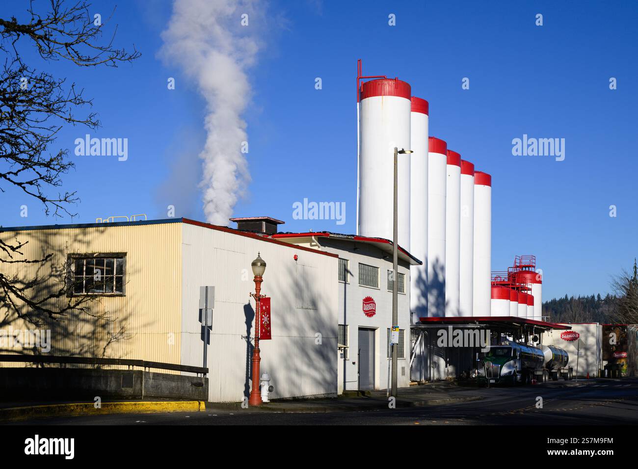 Issaquah, WA, USA - January 19, 2025;  Dairgold processing plant location in Issaquah of Northwest Dairy Association Stock Photo
