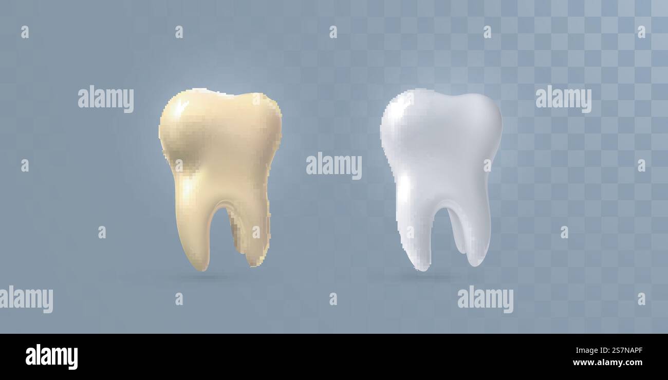 Realistic 3d teeth isolated on transparent background Stock Vector ...