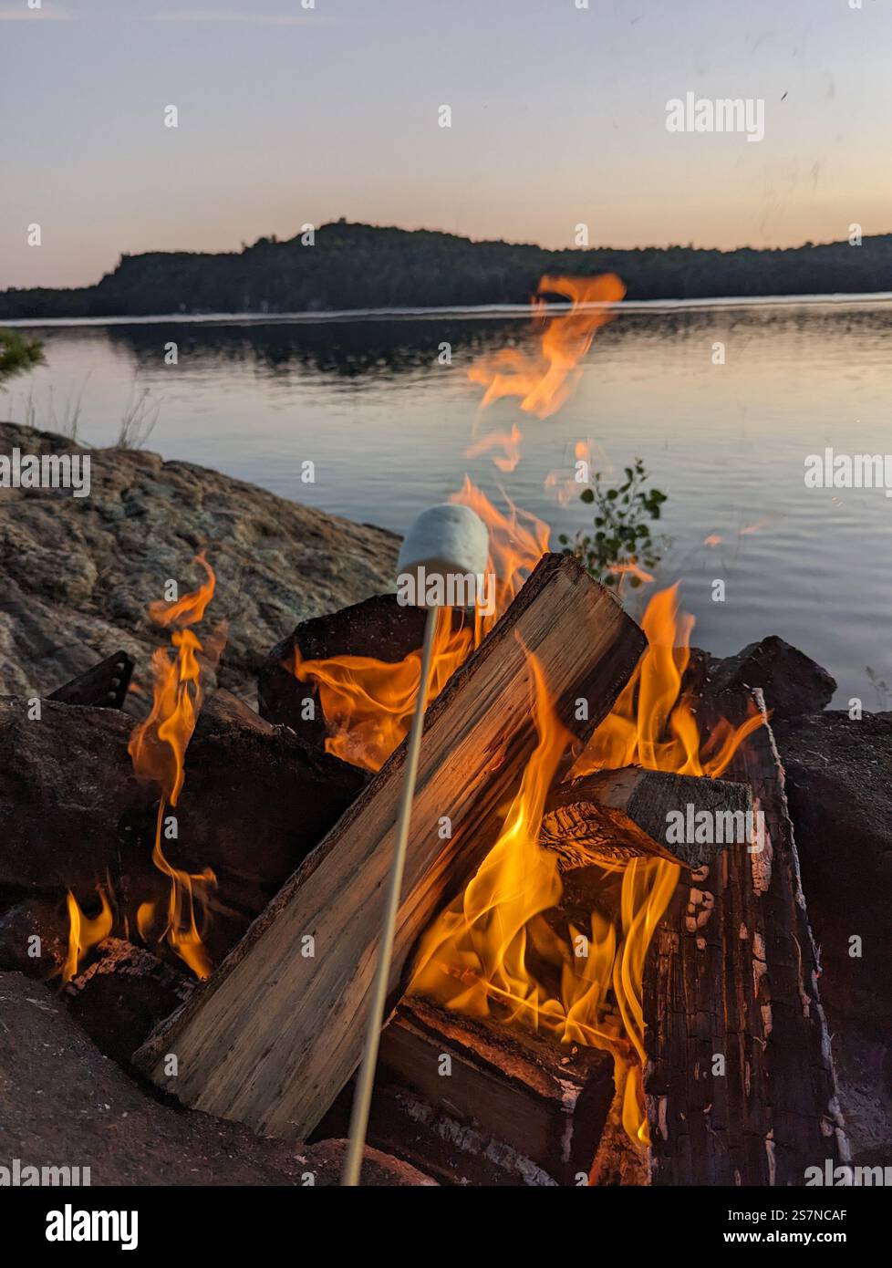 Camp fire with marshmallow - Smartphone Captured Stock Image