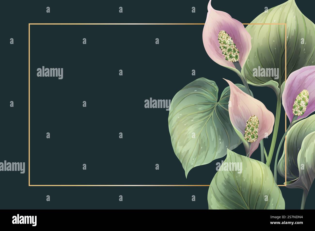 Realistic flowers vector frame. Botany illustration. Decorative dark ...